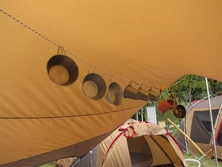 IMG_0351_1.jpg