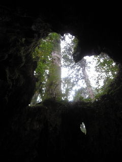 IMG_5600.jpg