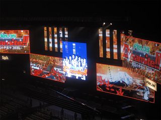 IMG_9024.jpg