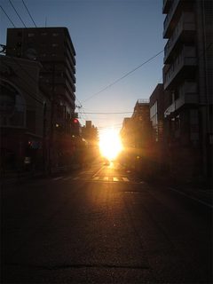 IMG_9069.jpg
