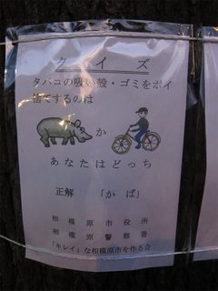 IMG_9239.jpg