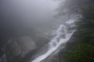 IMG_3593.jpg