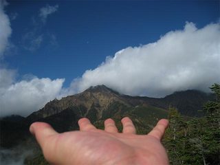 IMG_5215.jpg