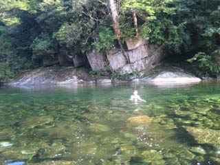 屋久島の川
